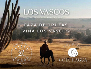 Caza de trufas Viña Los Vascos
