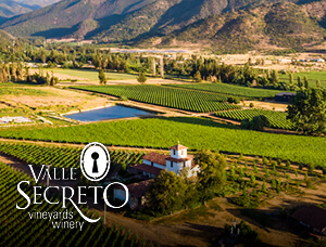 Revelando el Secreto: Experiencia Sensorial Completa con Almuerzo en Viña Valle Secreto